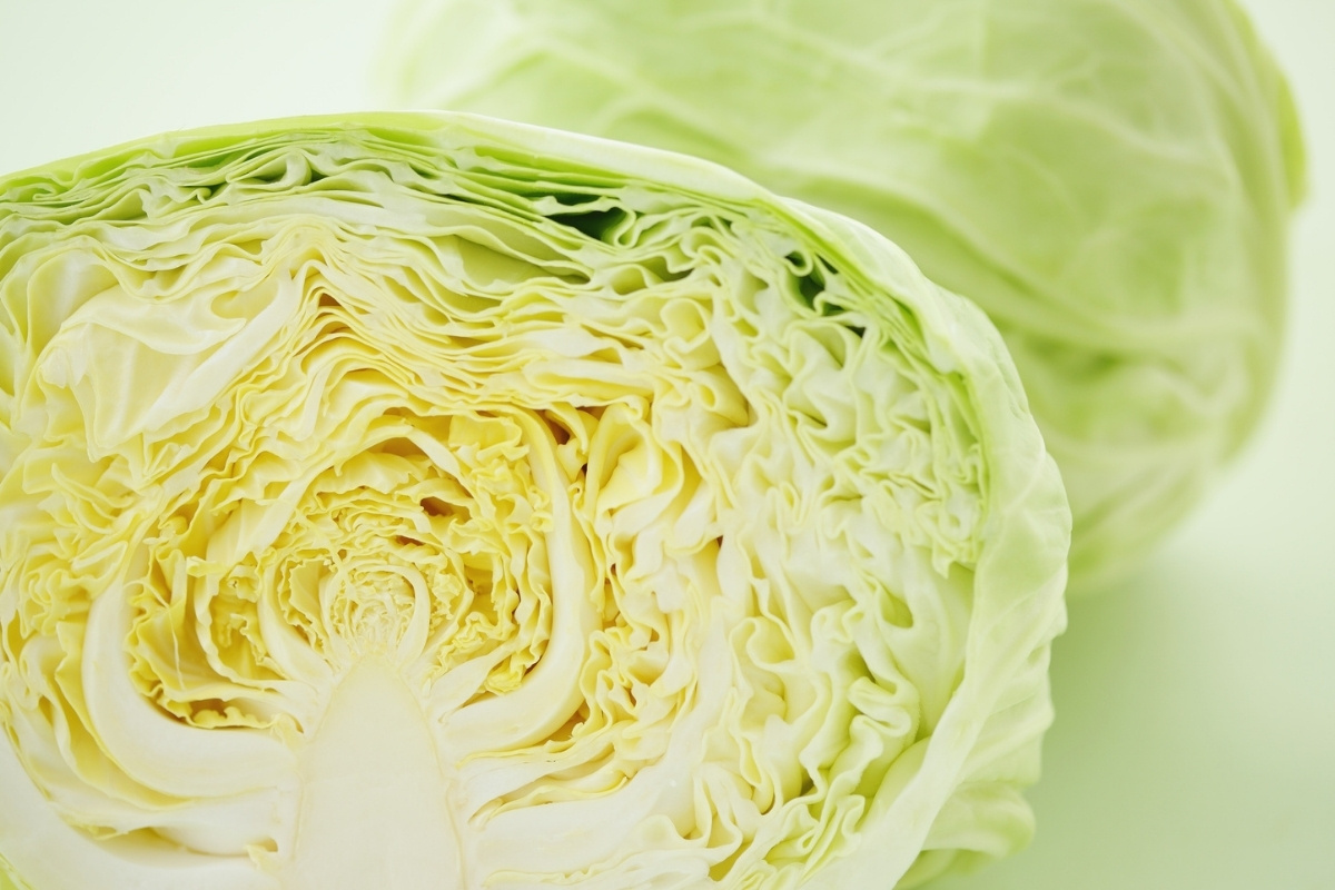 reteta placinta cu varza ardeleneasca